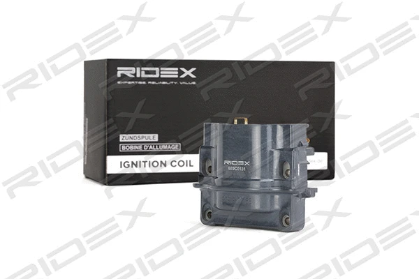 Ignition Coil (689C0131)