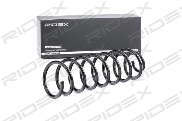 Suspension Spring (188C0289)