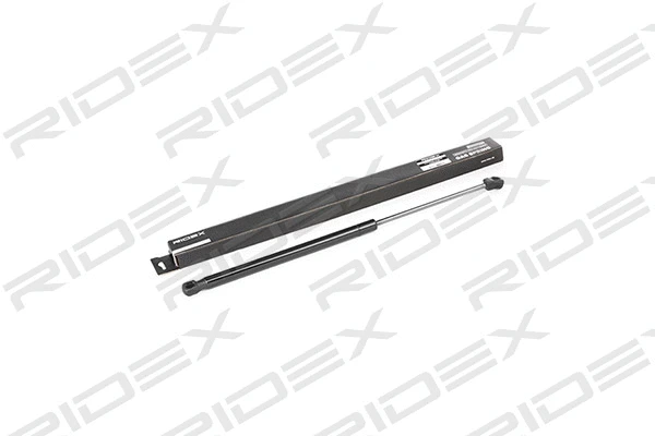 Gas Spring, boot/cargo area (219G0140)