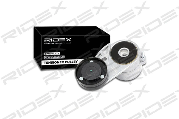 Tensioner Lever, V-ribbed belt (541V0013)