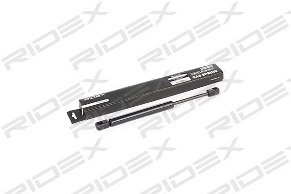 Gas Spring, boot/cargo area (219G0081)