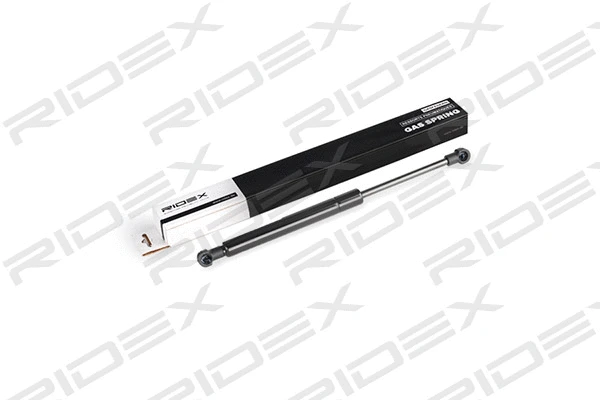 Gas Spring, boot/cargo area (219G0572)