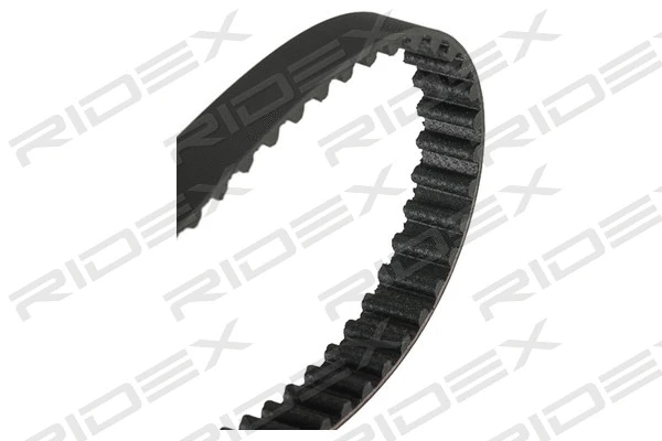 Timing Belt