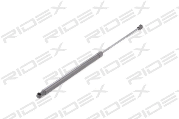Gas Spring, boot/cargo area (219G0209)