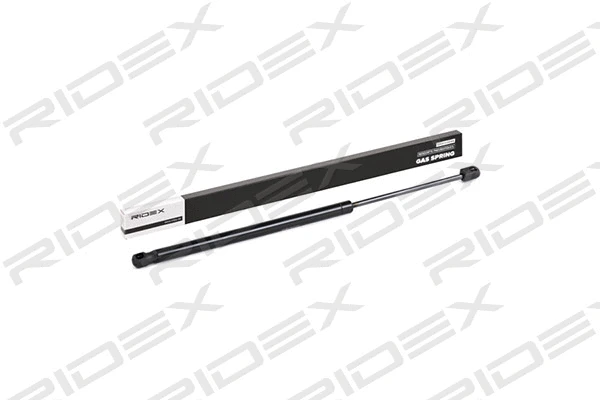 Gas Spring, boot/cargo area (219G0167)