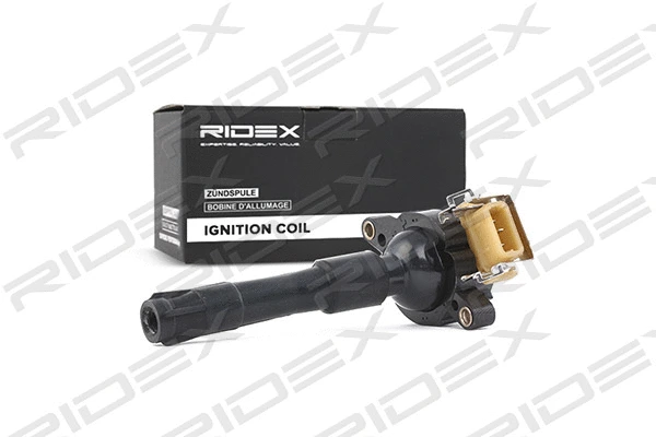 Ignition Coil (689C0010)