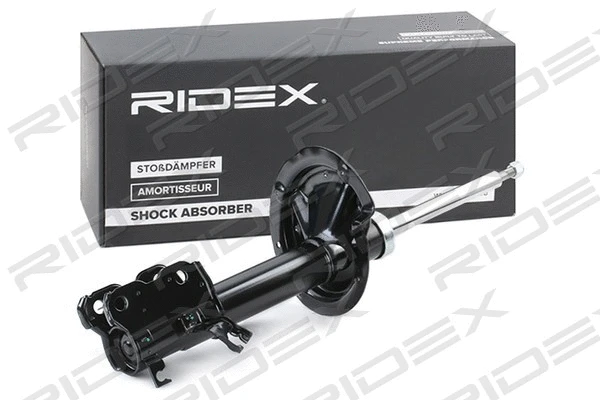Shock Absorber