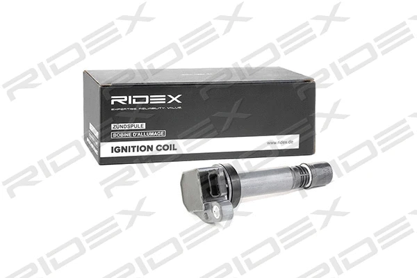 Ignition Coil (689C0206)