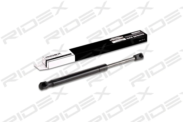 Gas Spring, boot/cargo area (219G0138)