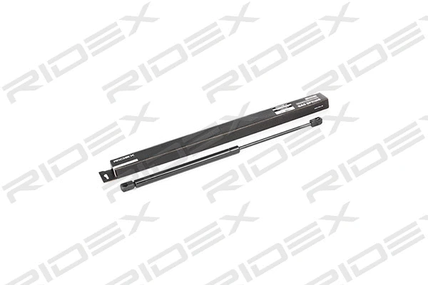 Gas Spring, boot/cargo area (219G0313)