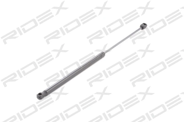 Gas Spring, boot/cargo area (219G0455)