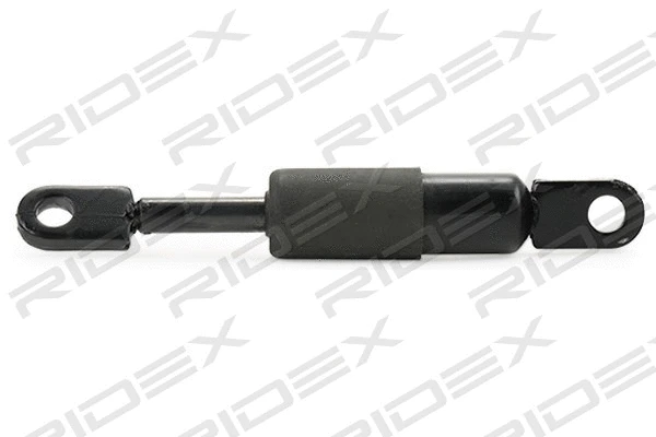 Gas Spring, boot/cargo area (219G0857)