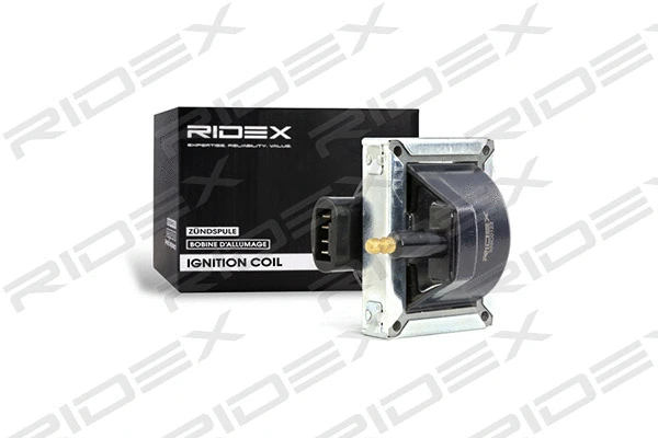 Ignition Coil (689C0122)