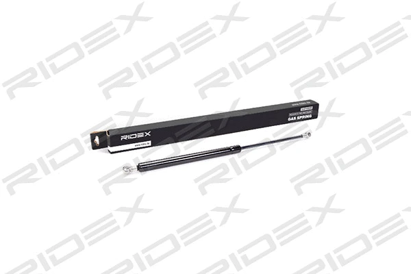 Gas Spring, boot/cargo area (219G0099)