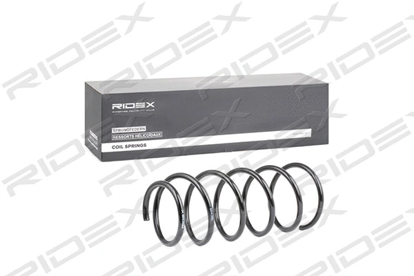 Suspension Spring