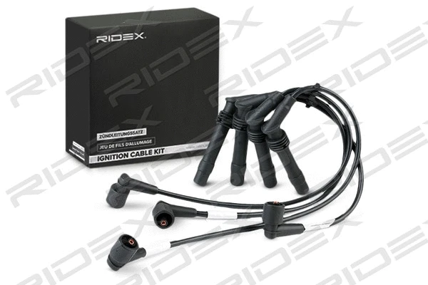 Ignition Cable Kit (685I0079)