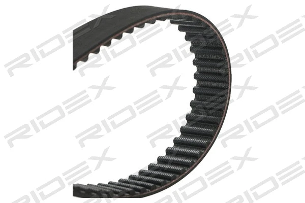 Timing Belt
