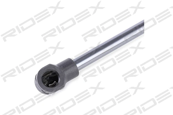 Gas Spring, boot/cargo area (219G0618)