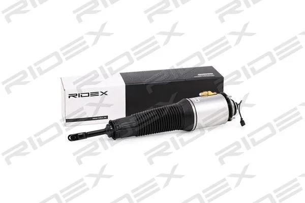 Air Suspension Strut (4118A0002)