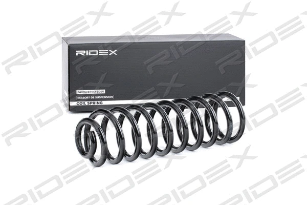 Suspension Spring (188C0452)