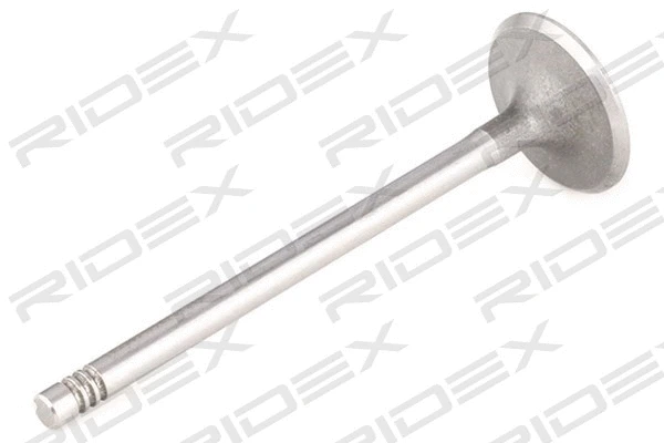Intake Valve