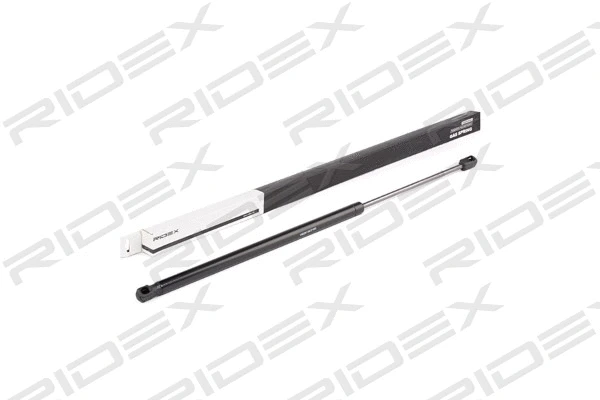 Gas Spring, boot/cargo area