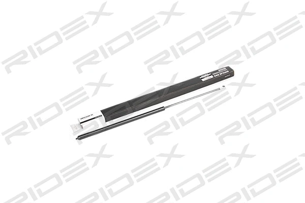 Gas Spring, boot/cargo area (219G0331)