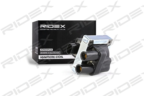 Ignition Coil (689C0012)