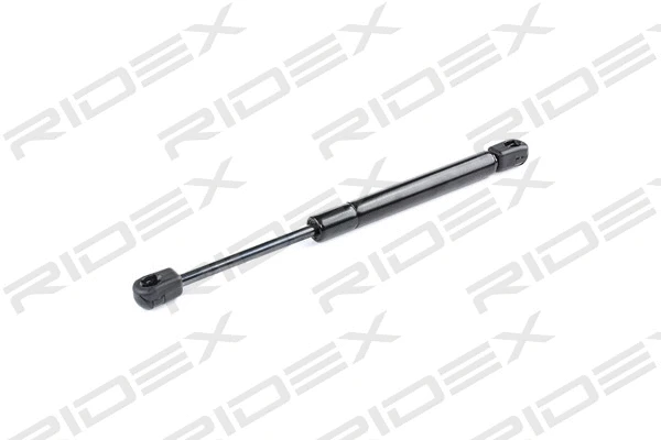 Gas Spring, boot/cargo area (219G0341)