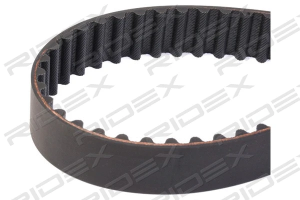 Timing Belt