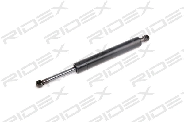 Gas Spring, boot/cargo area (219G0806)