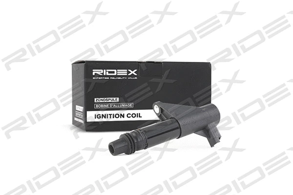 Ignition Coil (689C0020)