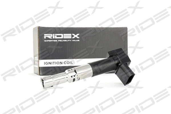 Ignition Coil (689C0230)