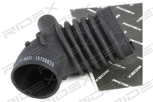 Intake Hose, air filter (1591I0010)