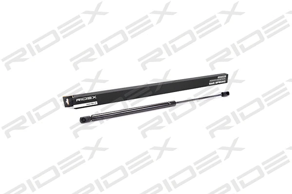 Gas Spring, boot/cargo area (219G0002)