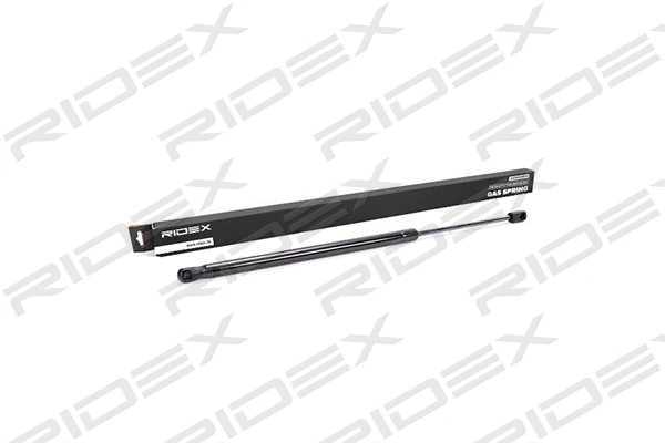 Gas Spring, boot/cargo area (219G0108)