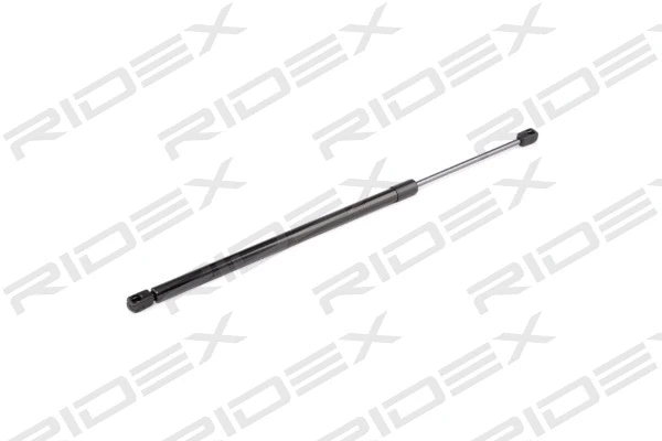 Gas Spring, boot/cargo area (219G0390)