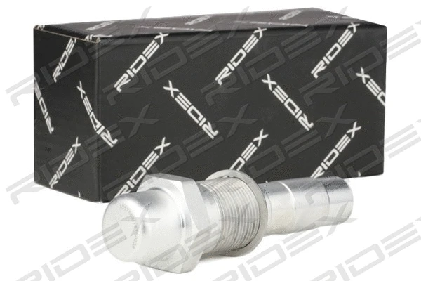 Tensioner, timing chain