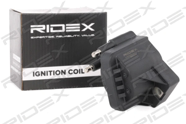 Ignition Coil (689C0133)