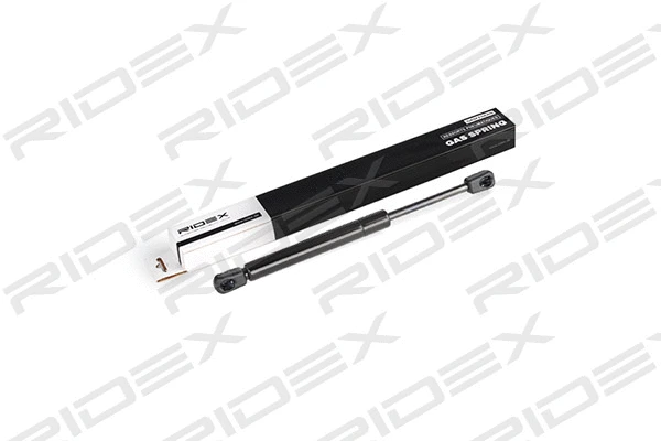 Gas Spring, boot/cargo area (219G0218)