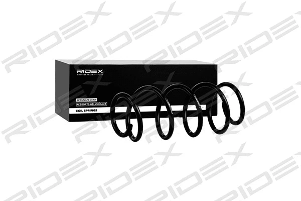 Suspension Spring (188C0293)