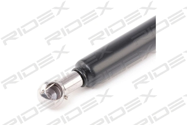 Gas Spring, boot/cargo area