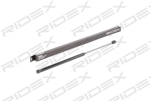 Gas Spring, boot/cargo area (219G0867)