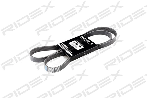 V-Ribbed Belt (305P0181)