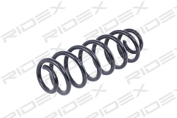 Suspension Spring (188C0064)