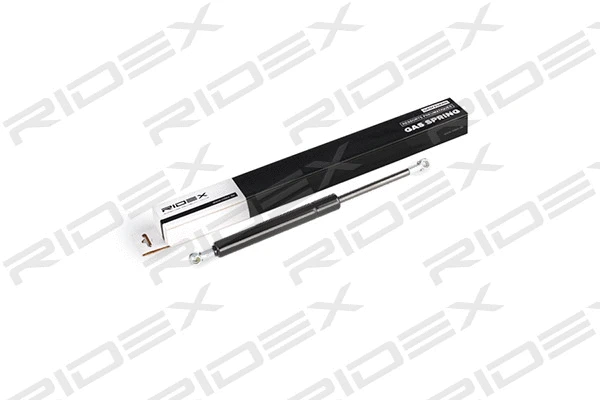 Gas Spring, boot/cargo area (219G0620)