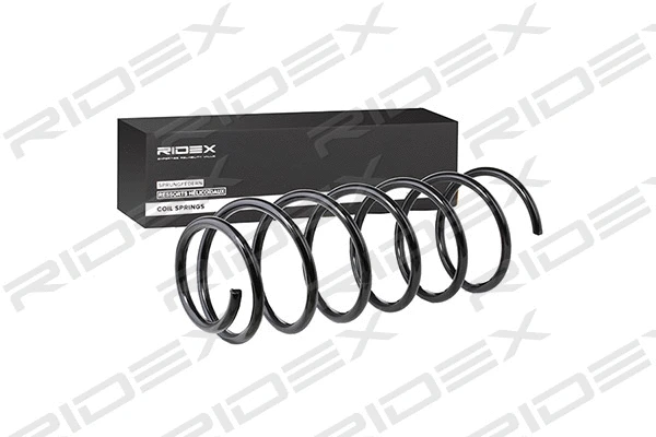 Suspension Spring (188C0096)