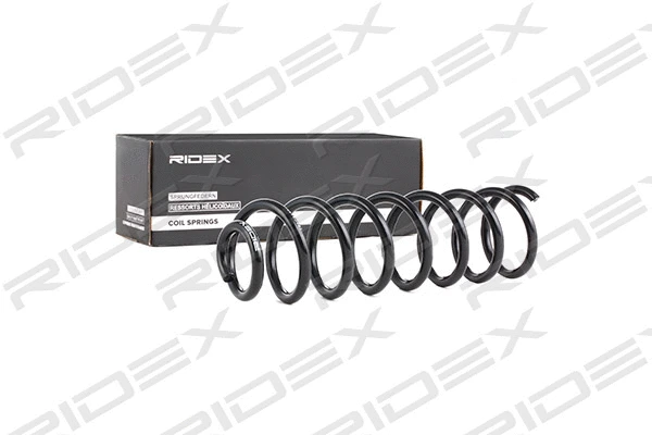 Suspension Spring