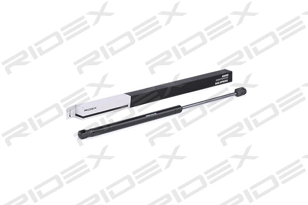 Gas Spring, boot/cargo area