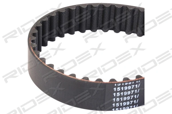 Timing Belt